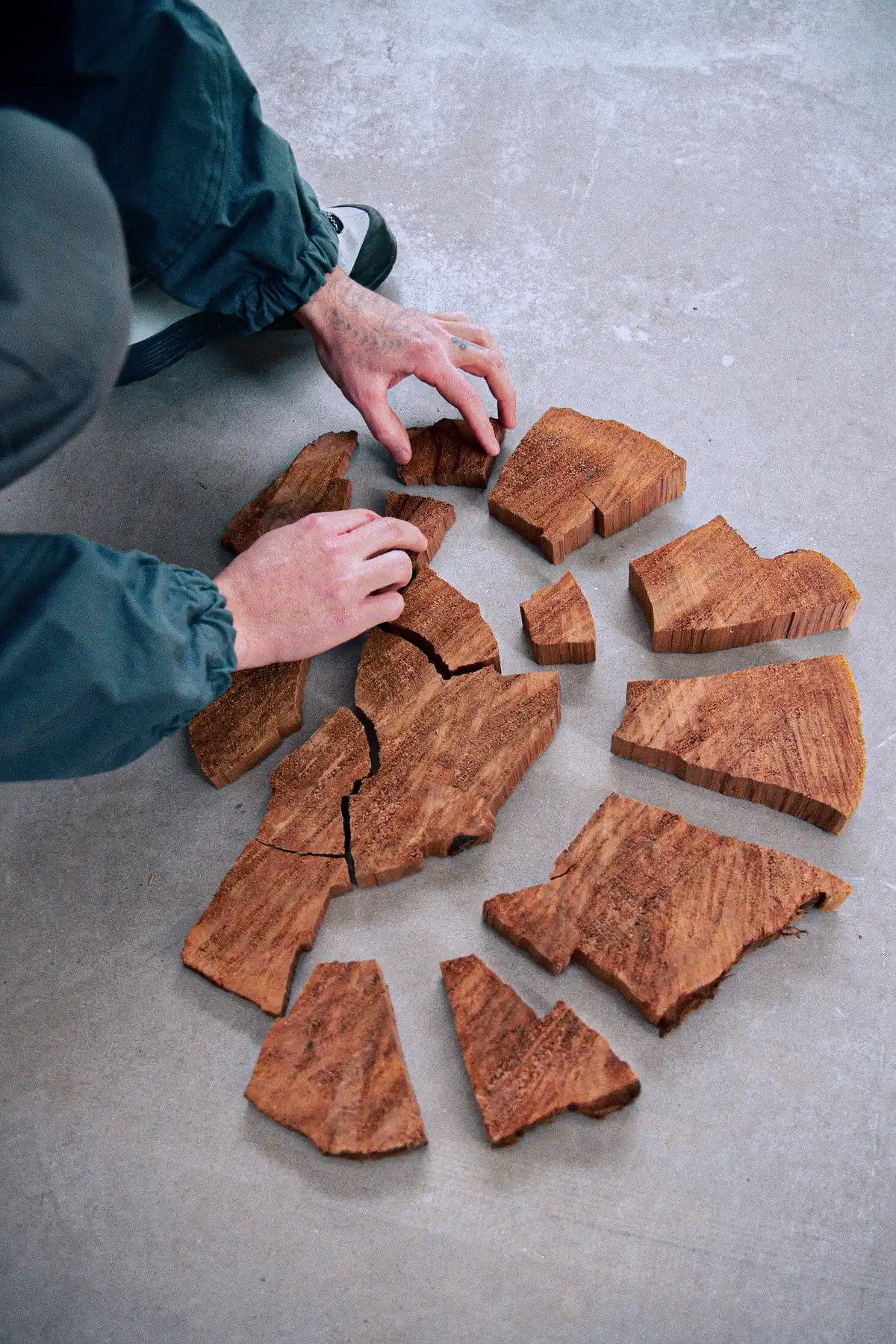 Cedar Puzzle